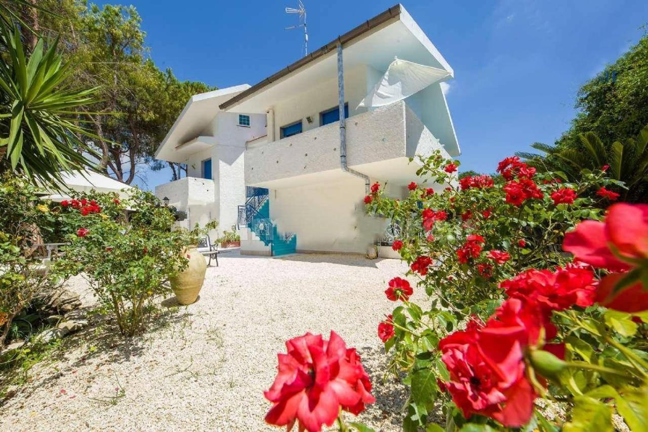 فونتاني بيانكي Suite House L'Isola Che Non C'E المظهر الخارجي الصورة